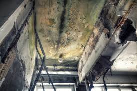 Why You Should Choose Our Mold Remediation Services in Lawnside, NJ